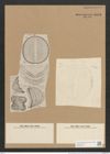 Campylodiscus biangulatus Grev. (de-Toni-Nr.: Genus 57, Species 2438) Zeichnungen Sammlung Grunow Nr. 4903 (NHMW-BOT-W0373103)